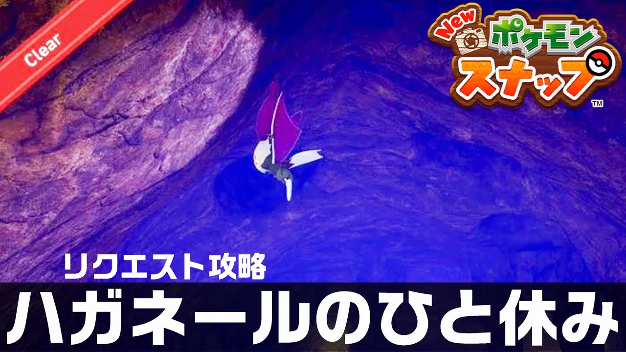 ハガネールのひと休み【Newポケモンスナップ・リクエスト攻略】