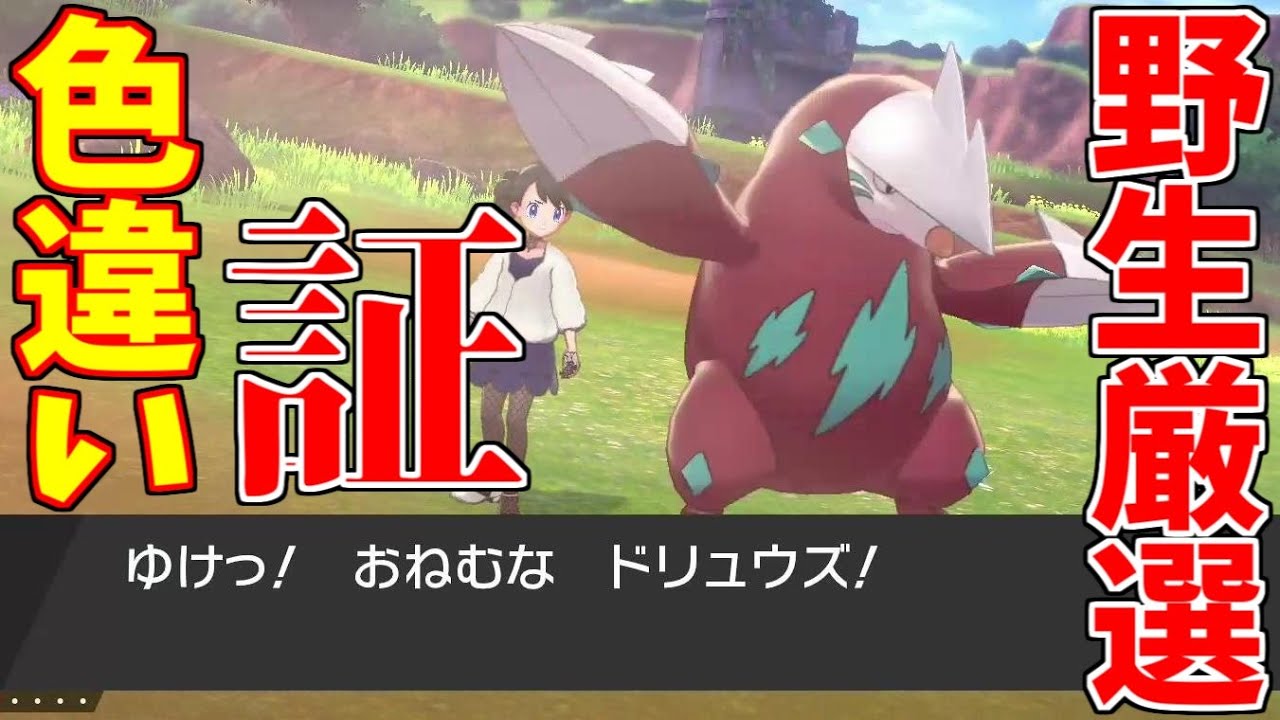 【ポケモン剣盾】証持ち色違いドリュウズ野生厳選【ゆっくり実況】