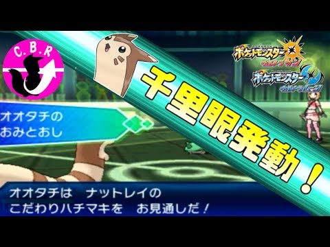 【ポケモンUSUM】レートでオオタチ見たらどう対応しますか？