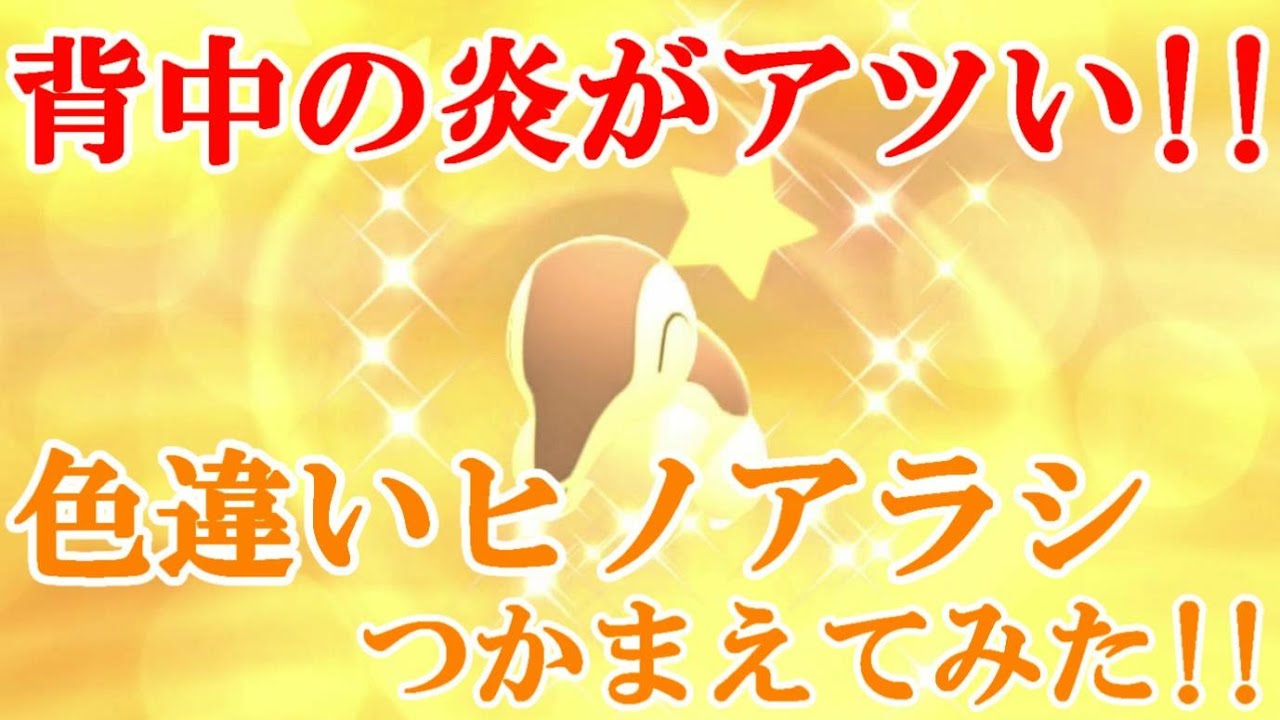 【ダイパリメイク】背中の炎がアツい！！色違いヒノアラシつかまえてみた！！