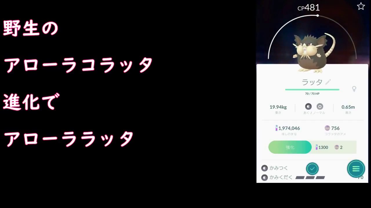 アローラコラッタ進化【ポケモンGO】