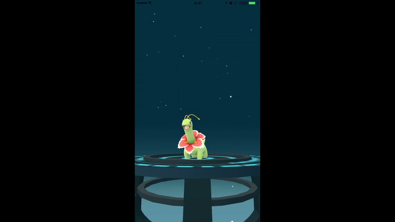 【ポケモンGO】金銀　進化動画チコリータ→ベイリーフ→メガニウム一気進化