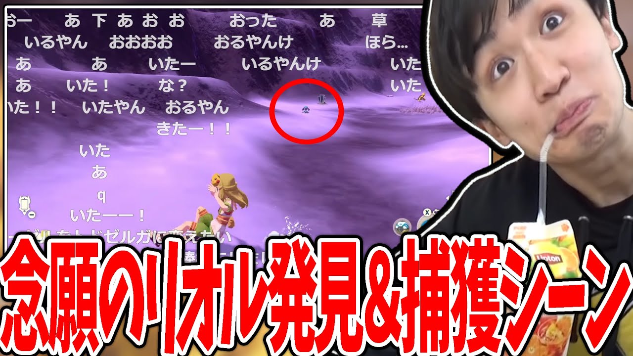 ポケモン新作で念願のルカリオ遭遇＆リオル捕獲シーン【2022/1/27】【ポケモンアルセウス】