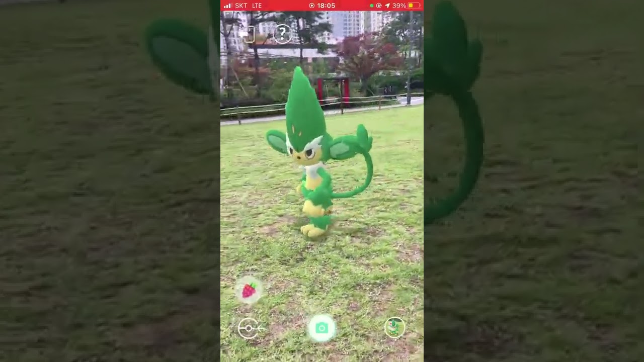 [포켓몬고 AR] 야나키와 놀아주면?