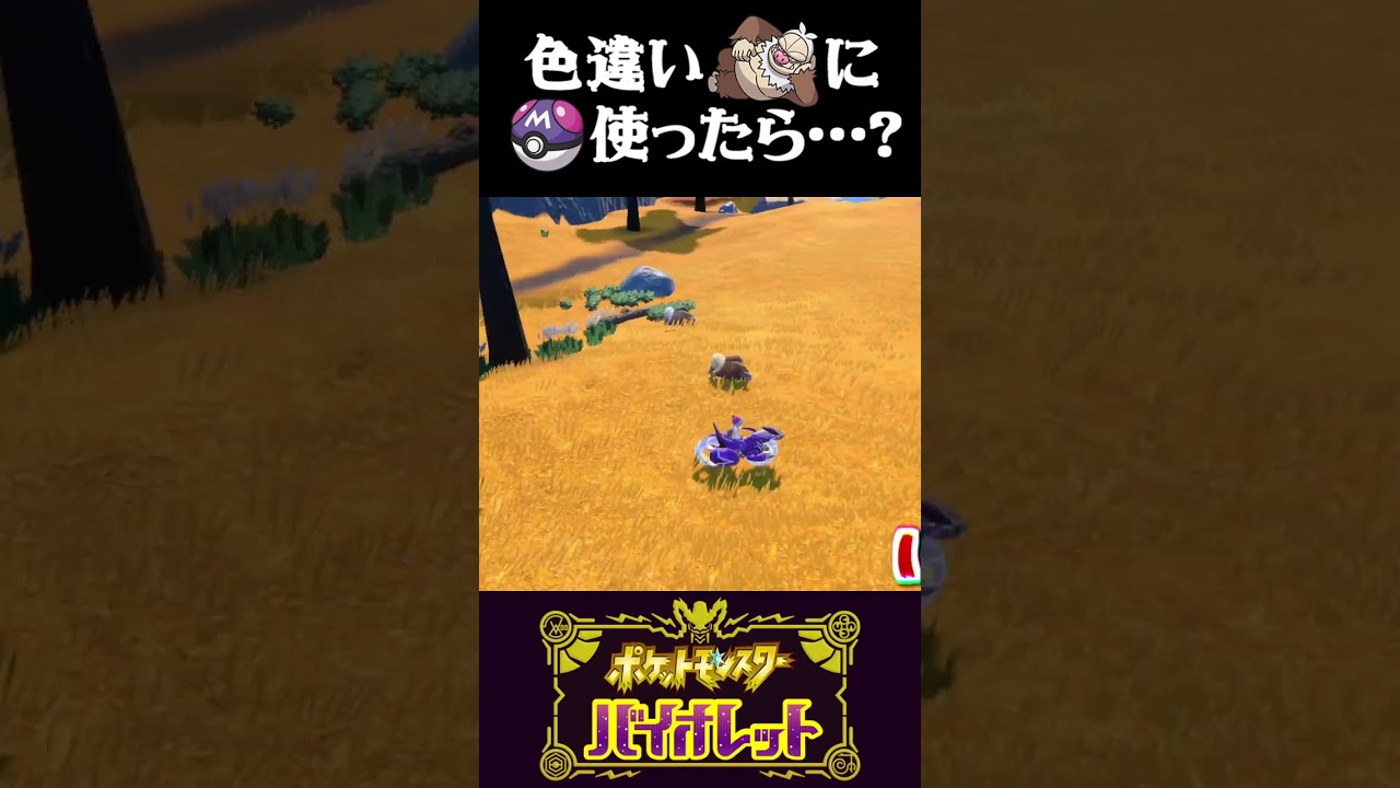 【マスボ】証付き色違いケッキングをマスターボールで捕まえてみたww【ポケモンSV】【スカーレット・バイオレット】【うさごん】