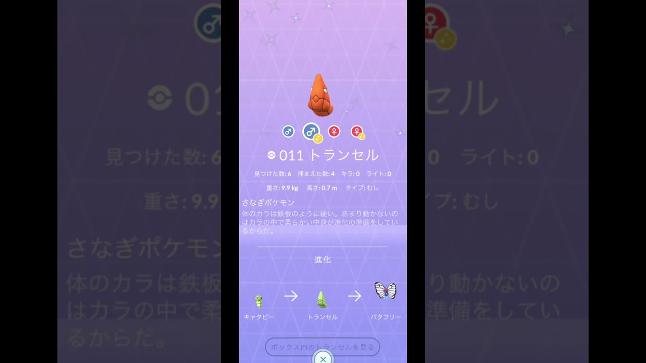 キャタピーからの〜【ダイパリメイク】色違いポケモン