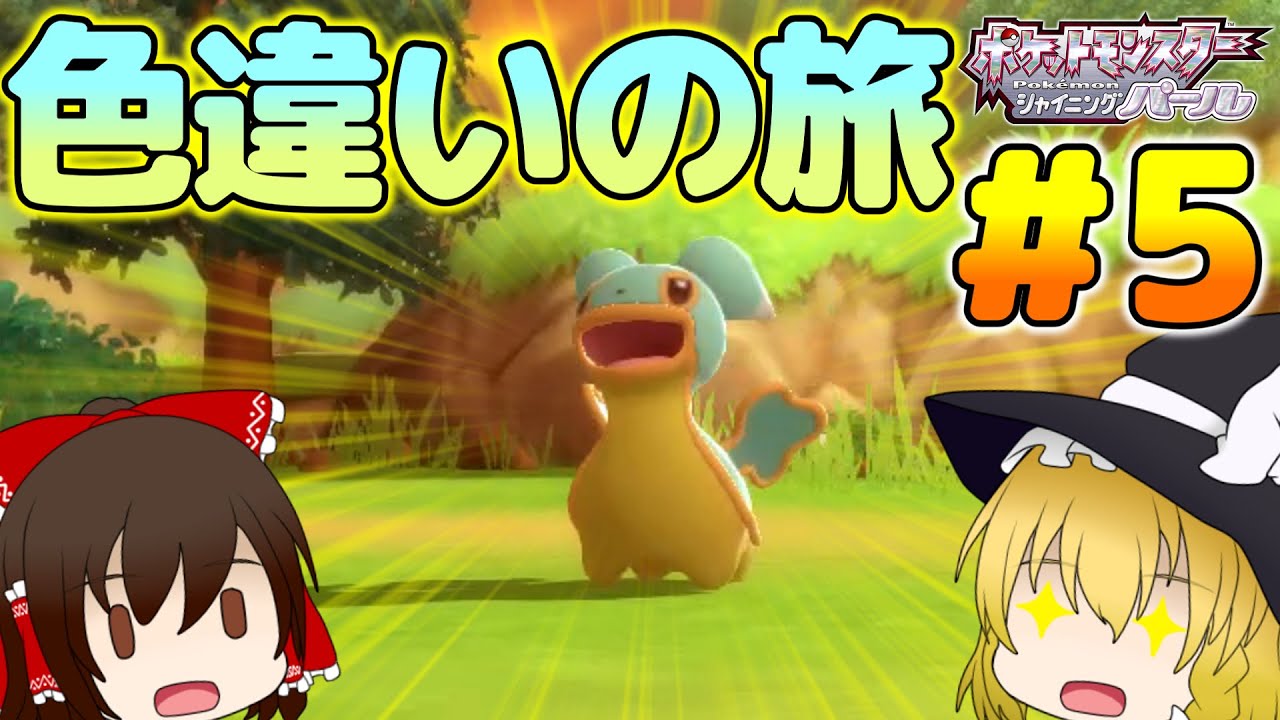 【ポケモンBDSP】色旅#5 みずタイプの色違いを求めて213番道路で色粘り！！【ゆっくり実況】