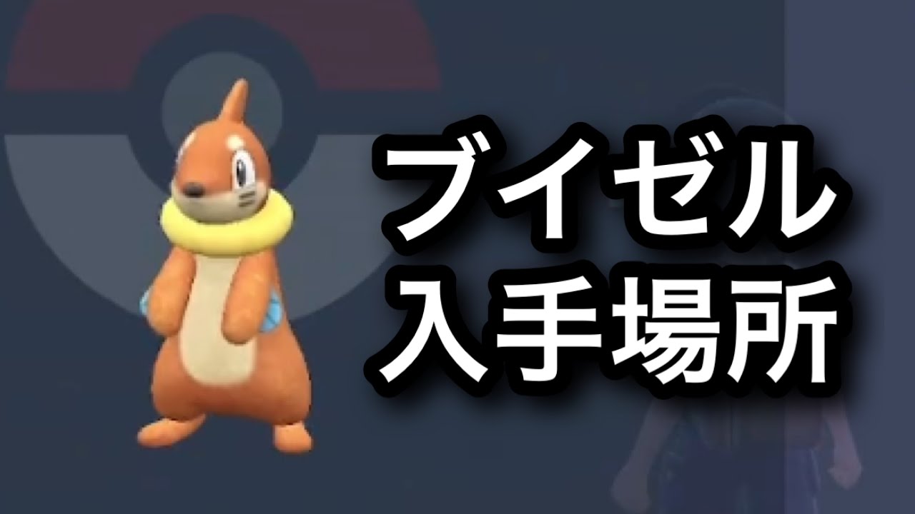 【SV】ブイゼル入手場所