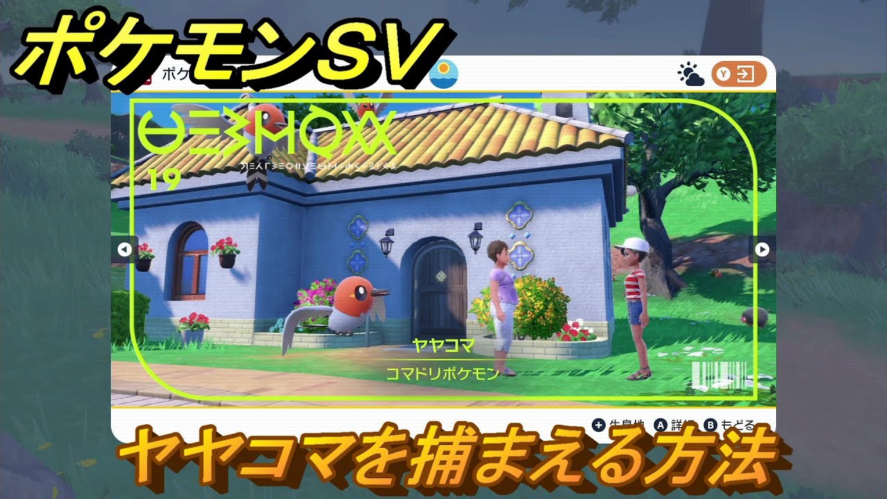 ポケモンＳＶ　ヤヤコマを捕まえる方法！出現場所は？図鑑No.１９　ポケモン図鑑を埋めよう！　【スカーレット・バイオレット】