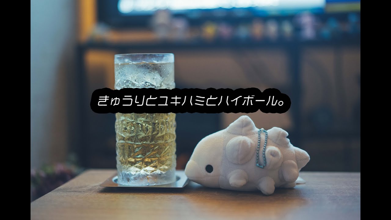 【Vlog】きゅうりとユキハミとハイボール。