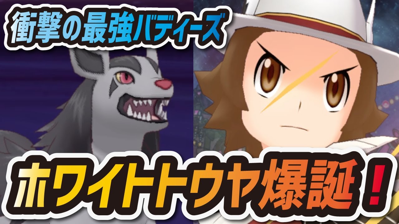 【ポケマス】ホワイトトウヤが強すぎてヤバイ！★6EX強化でグラエナがまさかの最強バディーズに！！！【ポケモンマスターズEX】