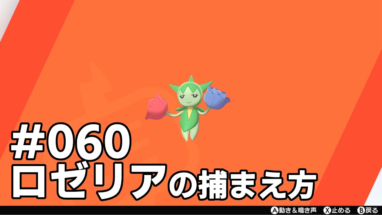 ロゼリアを探している方に見てほしい動画