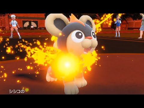 【ポケモンSV】シシコの活躍でハイパーボール級に上がれました！【ランクバトル・ポケットモンスター スカーレット・バイオレット】