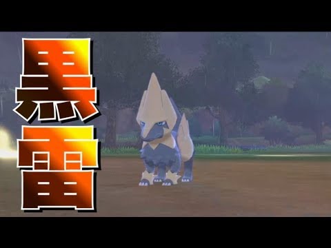 ライボルトの色違いを出して発狂する男　【ポケモン剣盾】