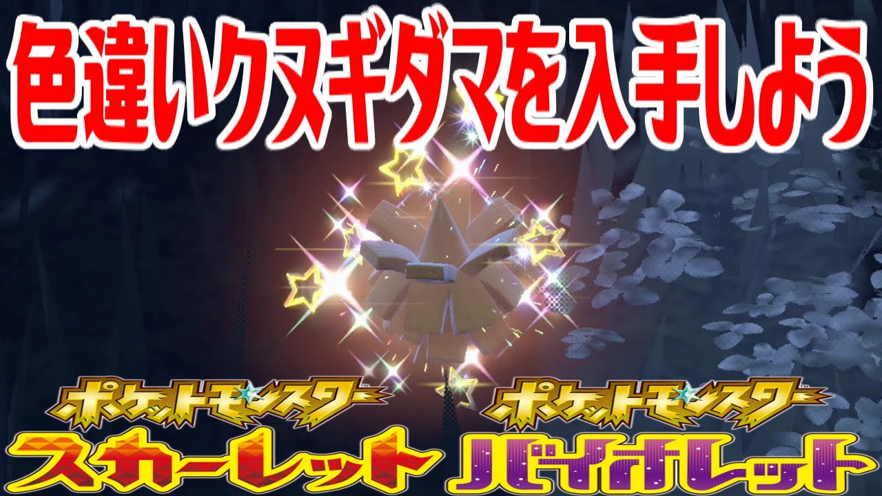 【ポケモンSV】色違いクヌギダマを入手しよう【ポケットモンスター スカーレット・バイオレット】Pocket Monsters