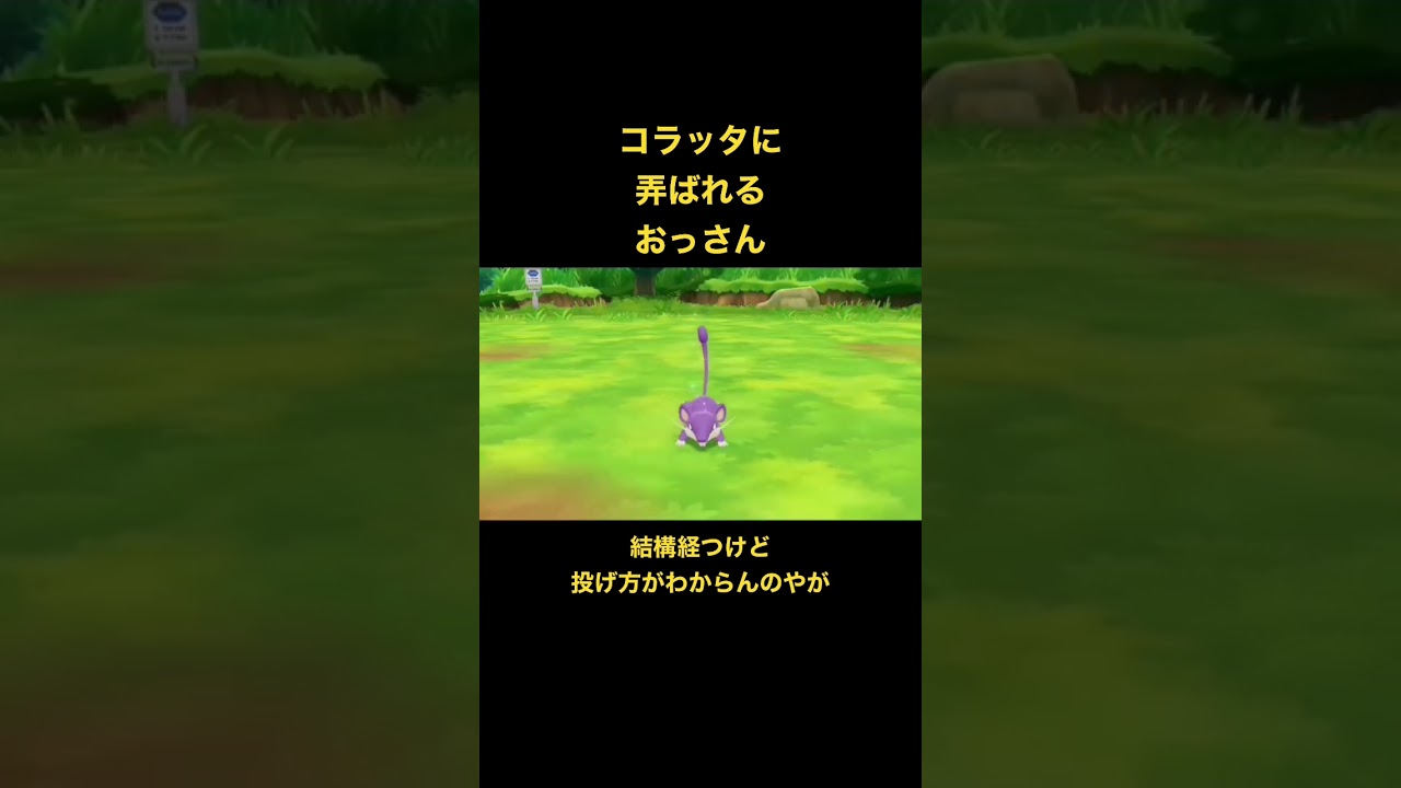 ポケモン　レッツゴーピカチュウ　コラッタに遊ばれる