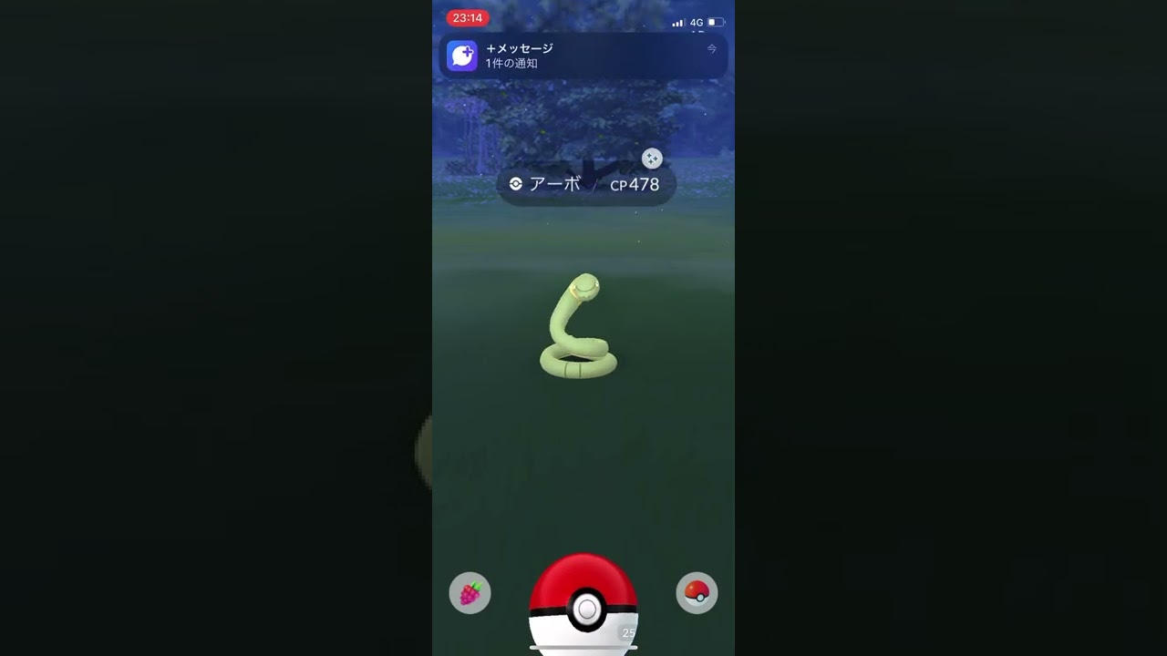 Pokémon GO 色違いアーボ