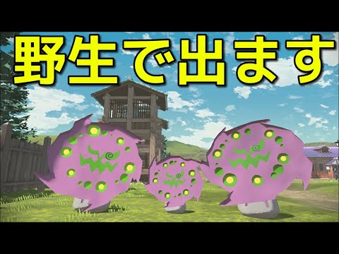 【ポケモン アルセウス】ミカルゲを何度も野生で捕まえる方法【Pokémon LEGENDS アルセウス】