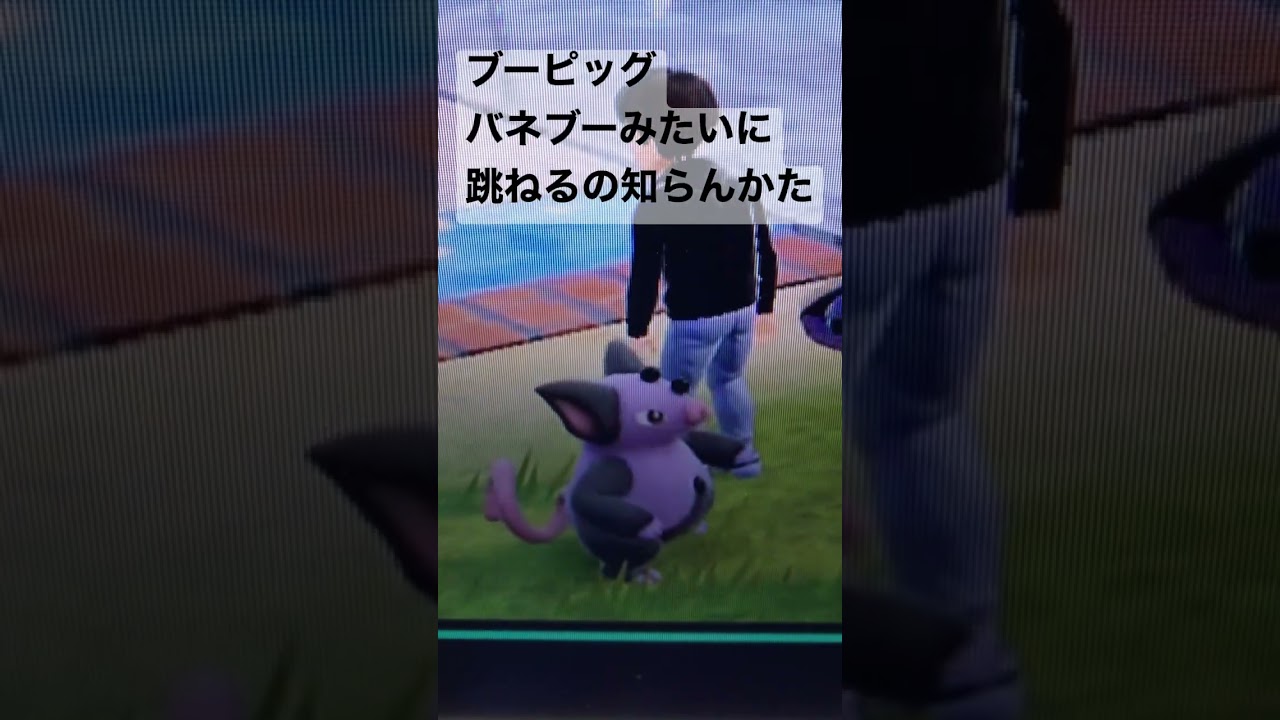 バネブーの名残　ポケモンSV