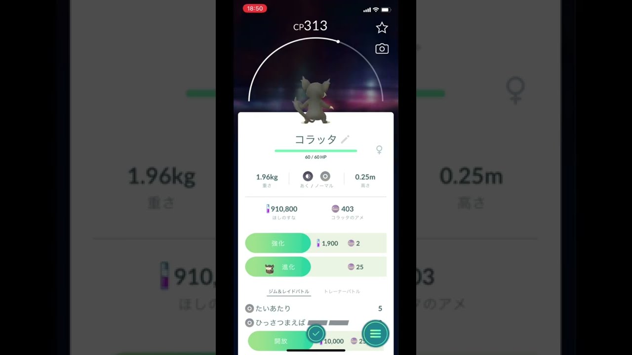 ポケモンGOでコラッタ（アローラのすがた）のゲットチャレンジ！ #Shorts