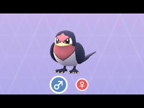 Pokémon GO 276 スバメ