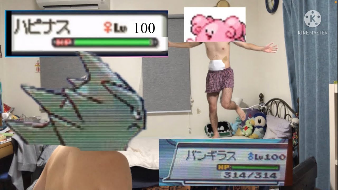 【ポケモン】HP減るのが遅いハピナスのマネ