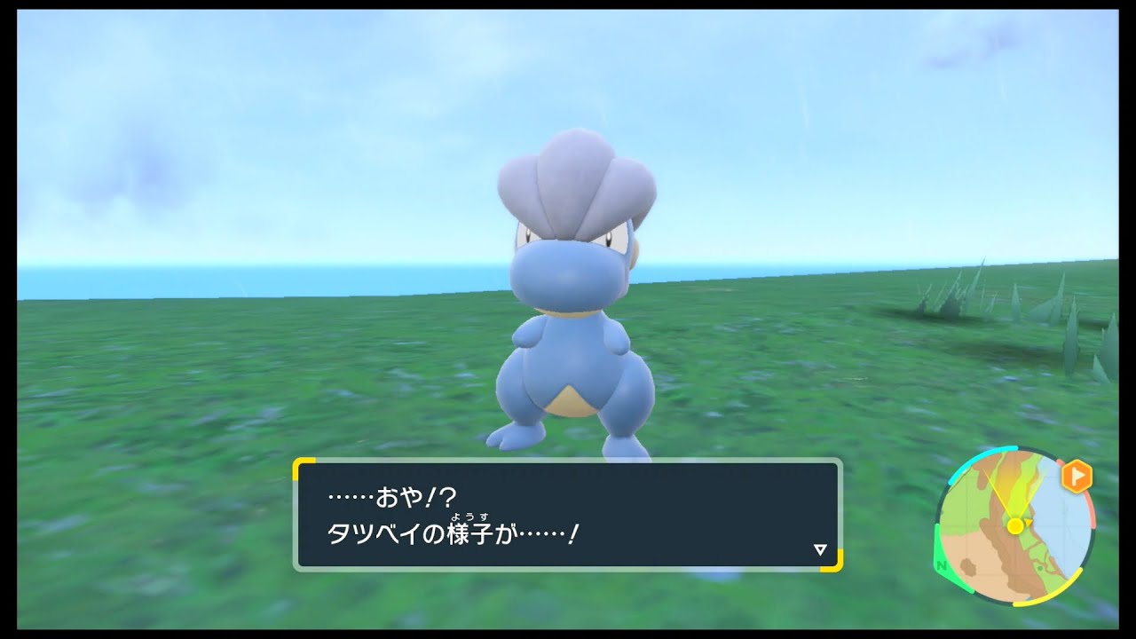 SVのポケモン　タツベイ レベル30で進化