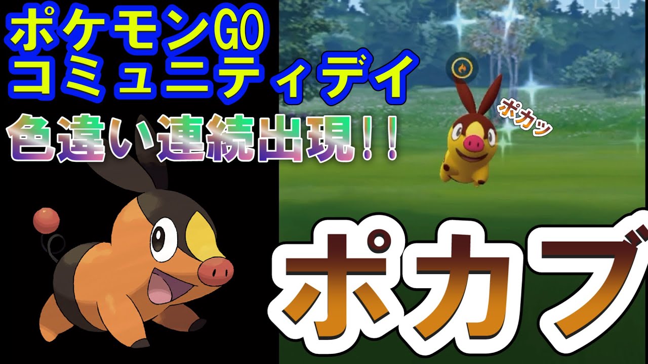 【ポケモンGO】　コミュニティデイにて連続色違い　ポカブ