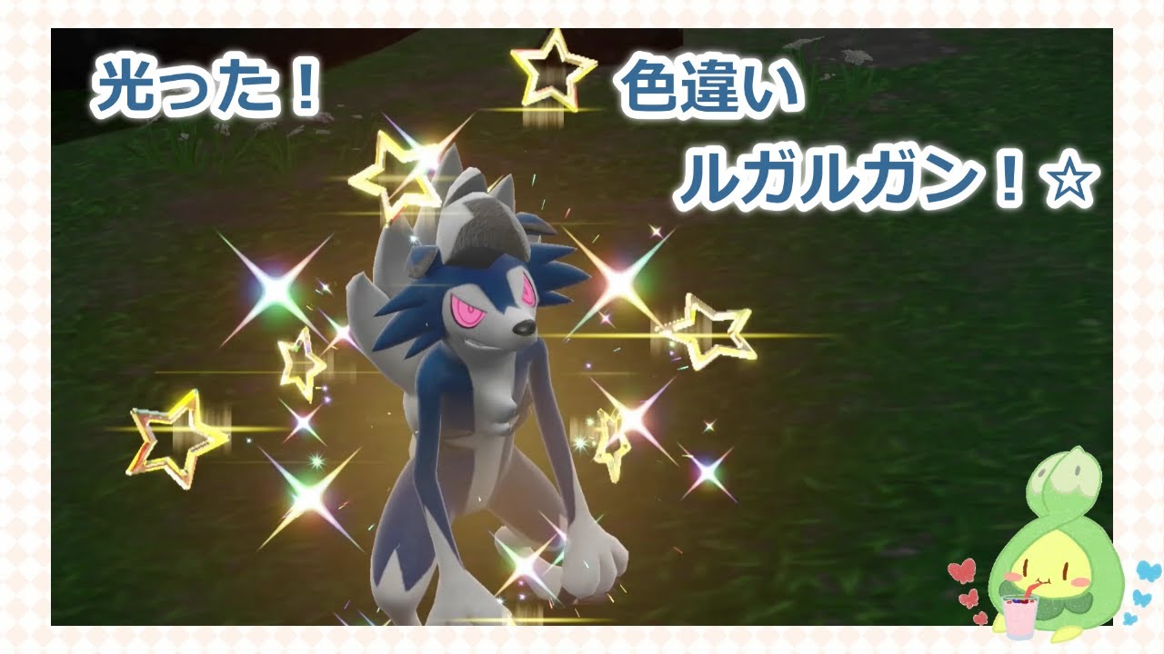 ポケモンSV 野生の色違いルガルガンをゲット！ / 寶可夢朱紫 遇到野生色違鬃岩狼人 / Pokemon SV Shiny Lycanroc