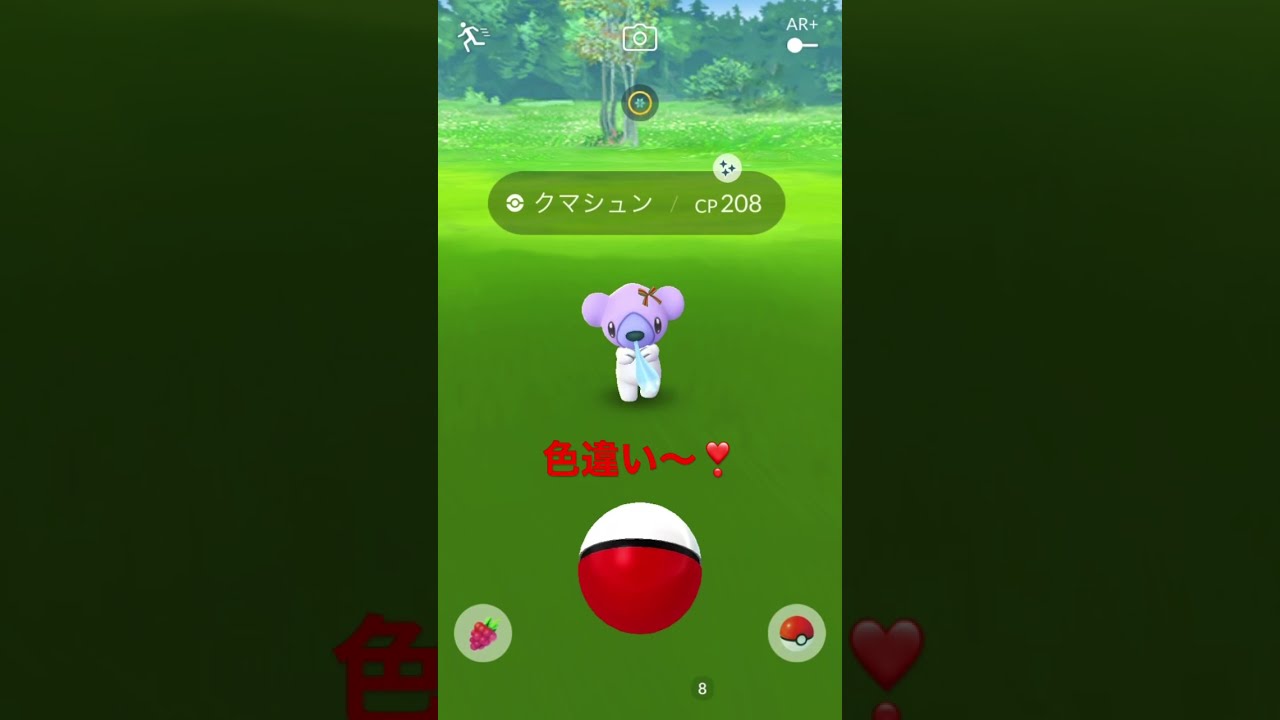 【ポケモンGO】クリスマス・クマシュン！色違い！ #shorts #ポケモンgo #ポケモン色違い