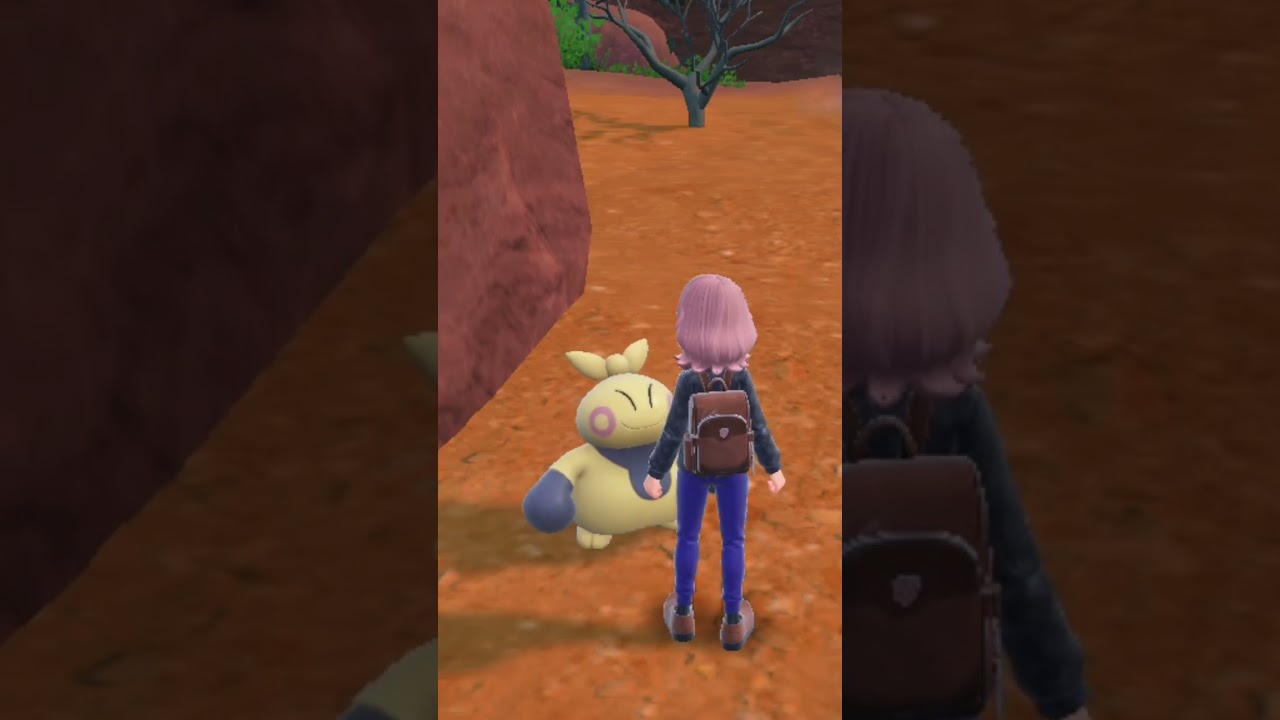 マクノシタの動きがかわいい〜(これがやりたかっただけ　#ポケモン #ポケモンsv  #ポケモンバイオレット