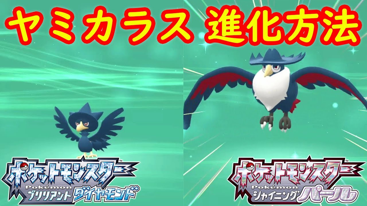 【ヤミカラス → ドンカラス】特殊進化方法 攻略  【ポケモン ダイパリメイク ポケモン ブリリアントダイヤモンド・シャイニングパール】