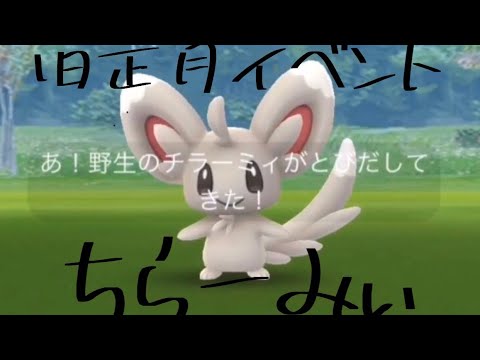 【ポケモンGO】チラーミィ捕獲‼️&バトルリーグ開幕‼️