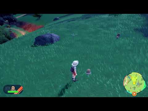 【ポケモンSV】ディグダと楽しそうな人間