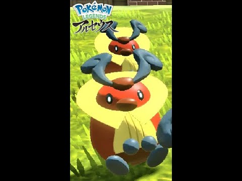 【疲れた人向け】6匹のコロボーシを見て癒されよう【ポケモンレジェンズアルセウス】#Shorts