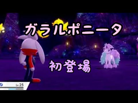 【ポケモンソードシールド】ガラルポニータ初登場シーン