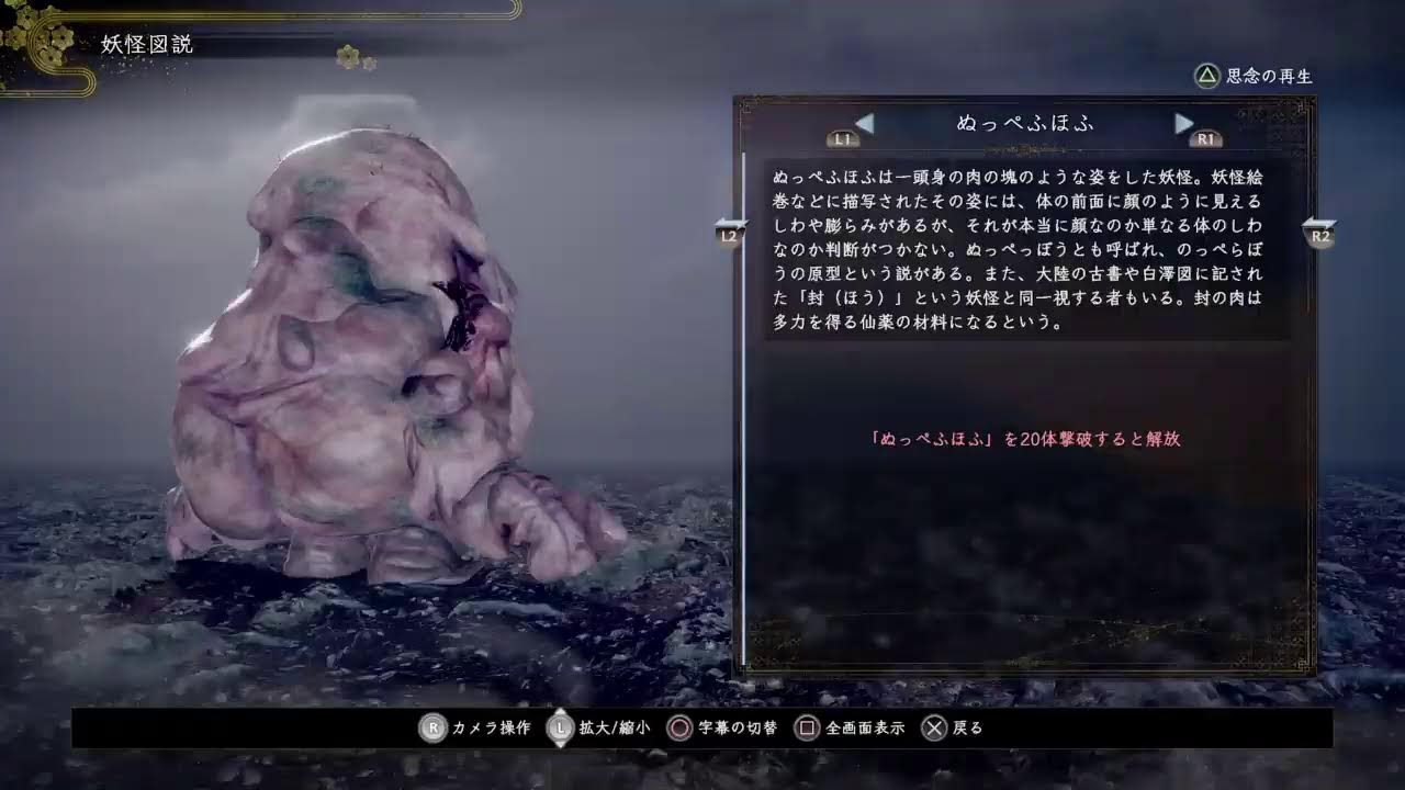 ハヤシガメです！