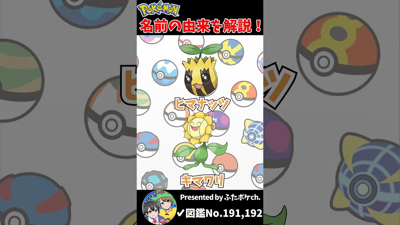 ポケモン名の由来『ヒマナッツ・キマワリ』 #Shorts