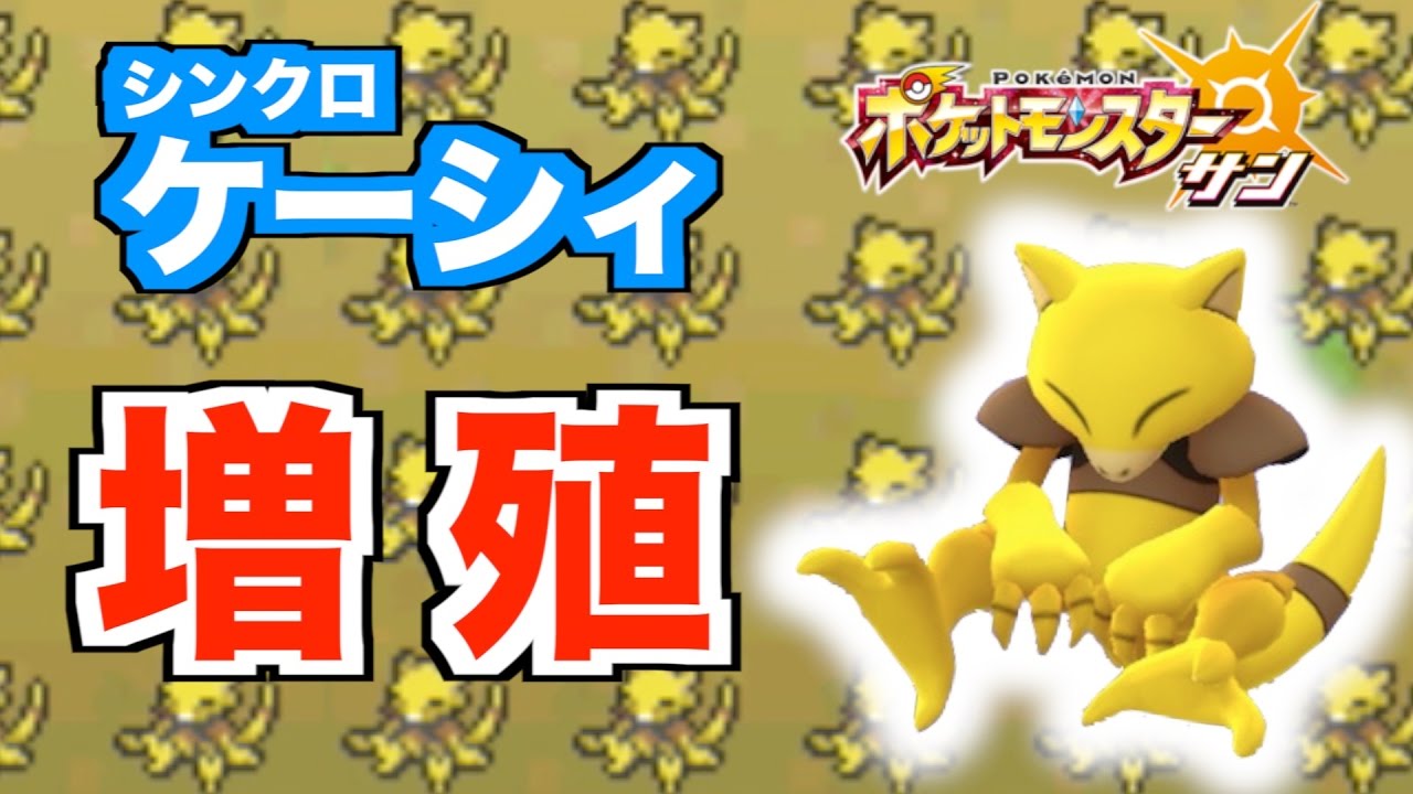 【ポケモン　サンムーン】大量タマゴ孵化の方法　シンクロケーシィ増殖【最強トレーナーへの道】＃４