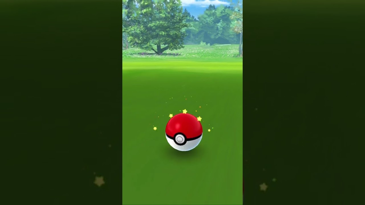 おぉ✨色違いのカモネギ❗️可愛い〜っ