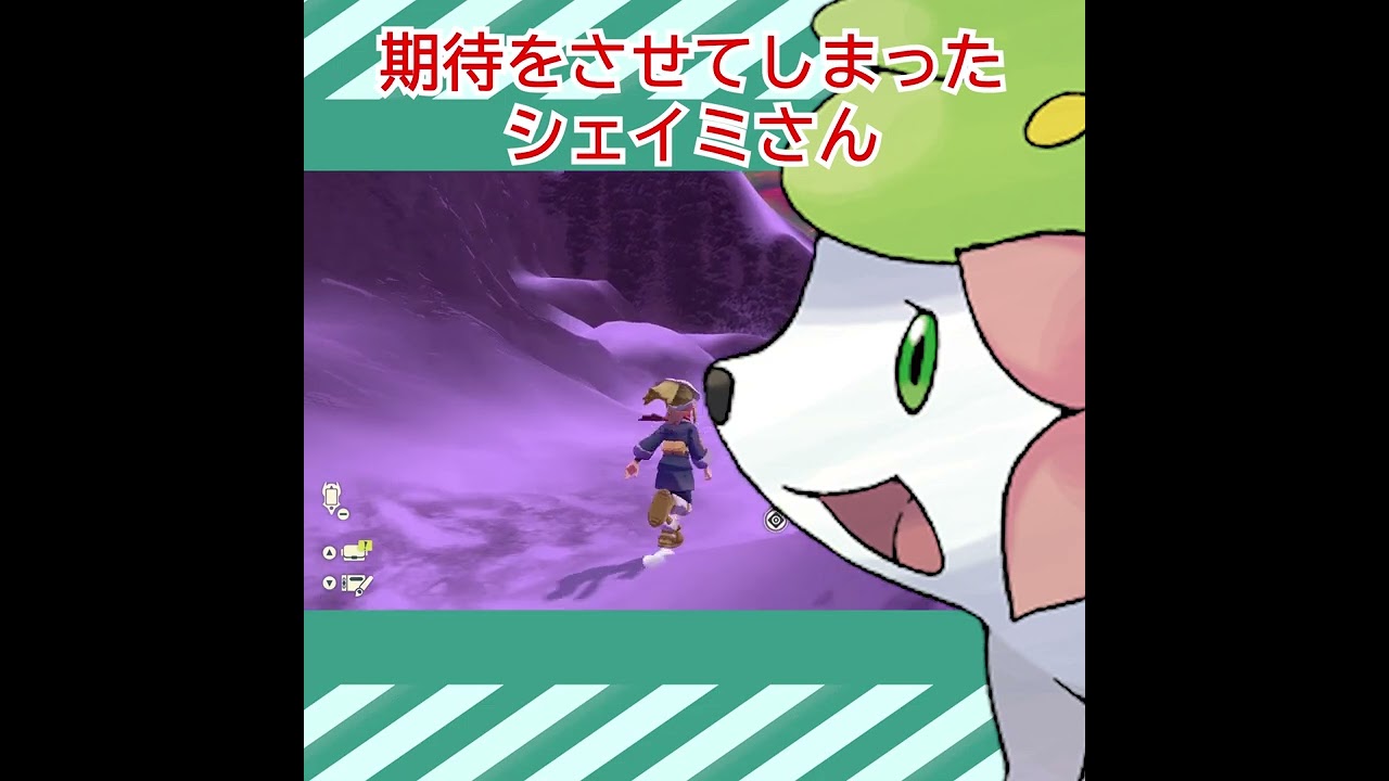 期待をさせてしまったシェイミさん【ポケモン アルセウス 】