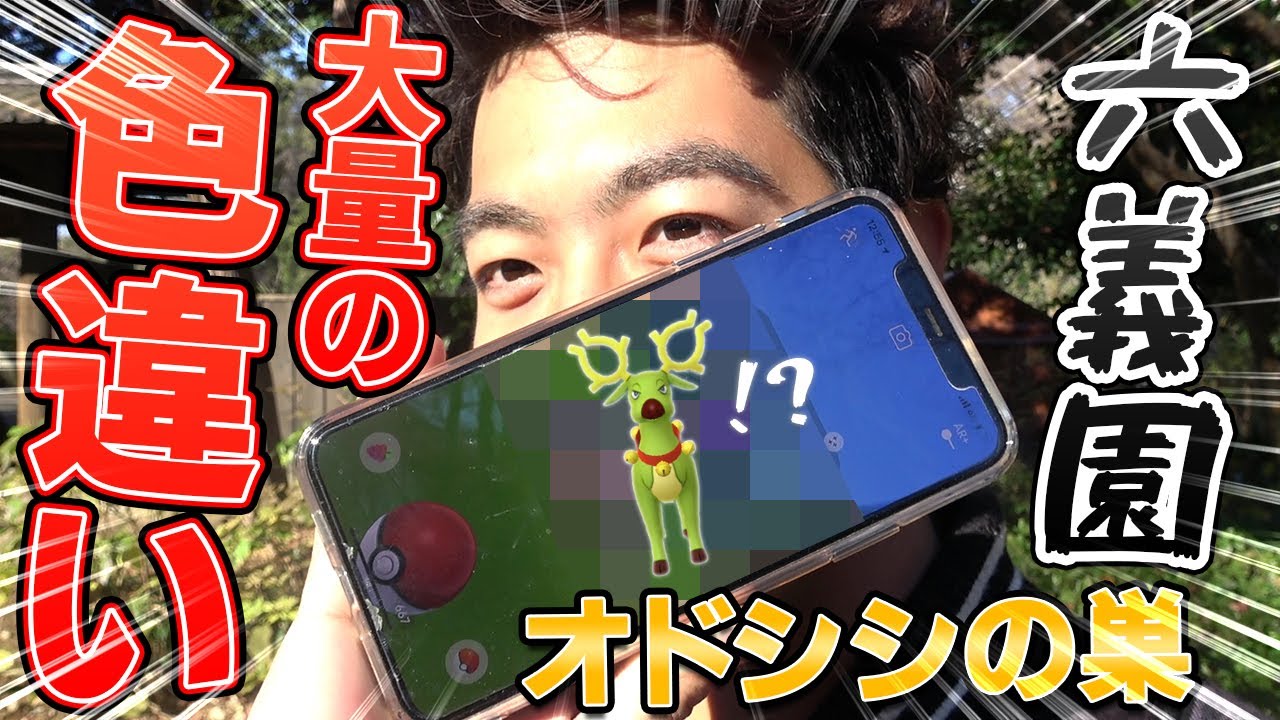 【ホリデー】色違い大量？オドシシを求めて！六義園編【ポケモンGO】
