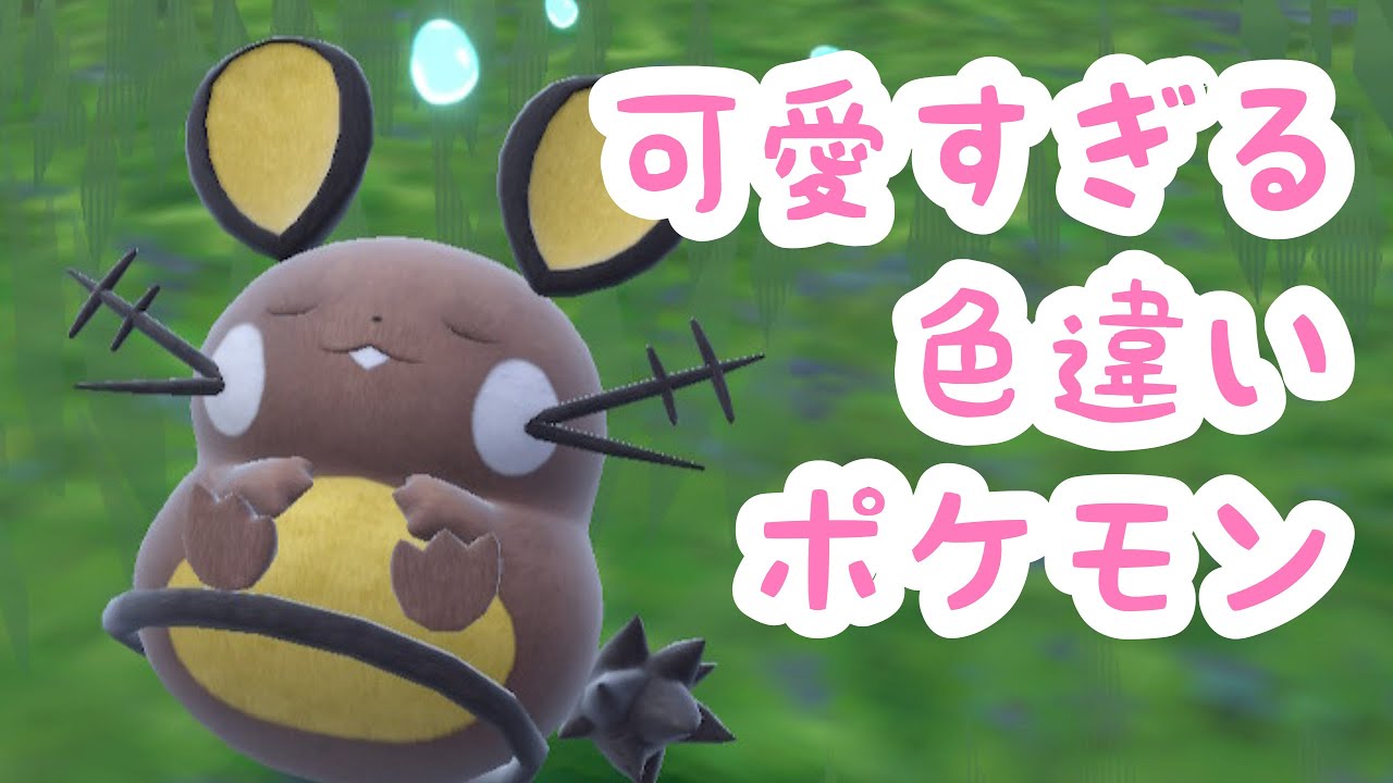 可愛さ最強パチリスとデデンネの色違いの捕まえ方を解説【ポケモンSV】ポケットモンスタースカーレット•バイオレット