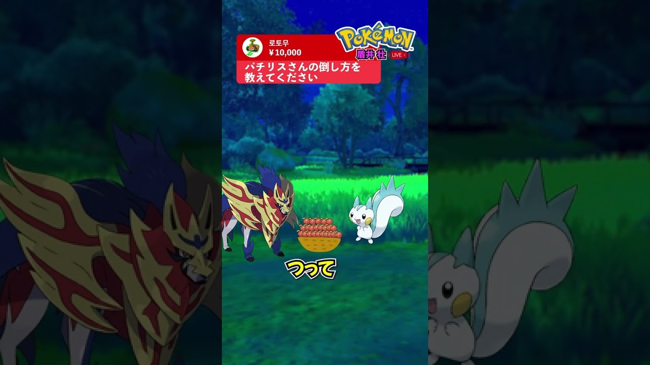 【盾井壮】パチリスさんの倒し方を語るザマゼンタ【ポケモン剣盾】【コント】 #shorts