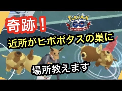 いつでもヒポポタスがゲットできる！【ポケモンGO】