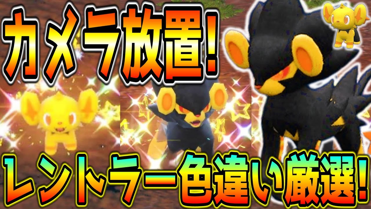 カメラ放置！見ているだけのレントラー・コリンク色違い厳選方法！【ポケモンSV】