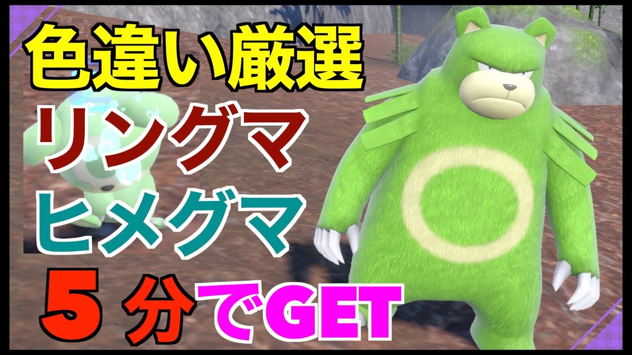【ポケモンSV】5分で出現！色違いのリングマ/ヒメグマ！厳選場所とサンドイッチの作り方紹介【色違いポケモン】