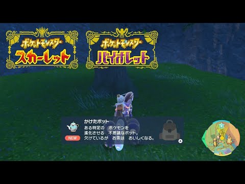 【ポケモンSV】かけたポット、われたポットの入手場所、ヤバチャの進化【ポケモンスカーレット・バイオレット】