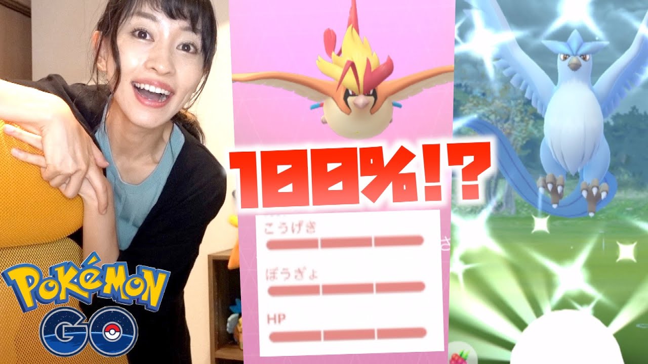 色違いに100%と遭遇?!メガピジョットとフリーザーレイド回ったらまさかの?!【ポケモンGO】