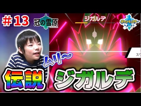 【伝説ポケモン】生態系の「秩序」を司るポケモン ジガルデとバトル！ 冠の雪原 ダイマックスアドベンチャー 【ポケモン剣盾】コーキtv